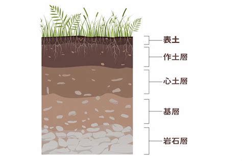 土 構成|土の知識